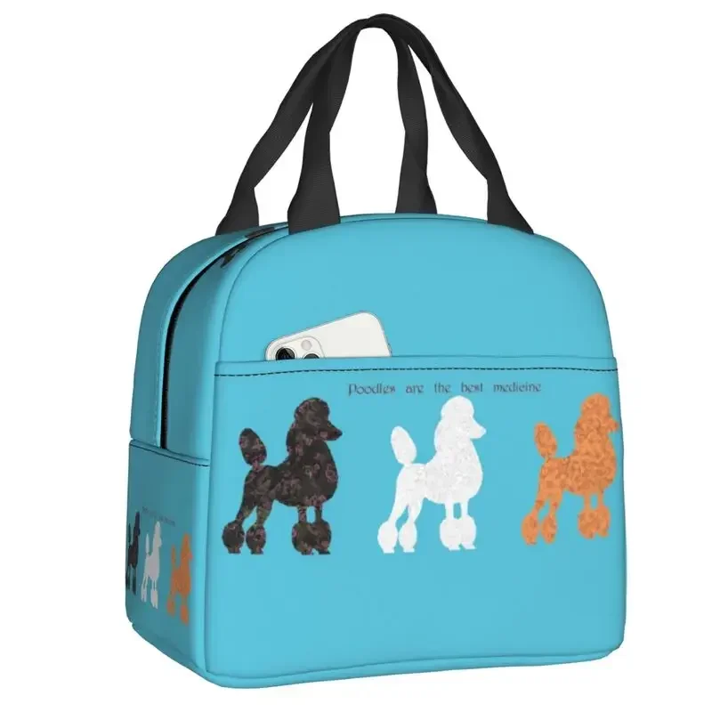 Women'S Best Bags For Work - Fransa Standart Kaniş Yalıtımlı Öğle Yemeği